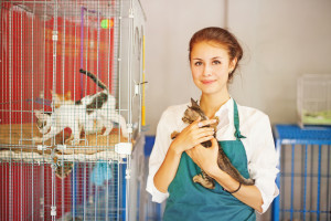 Ausbildung zur Tierarzthelferin und das Gehalt